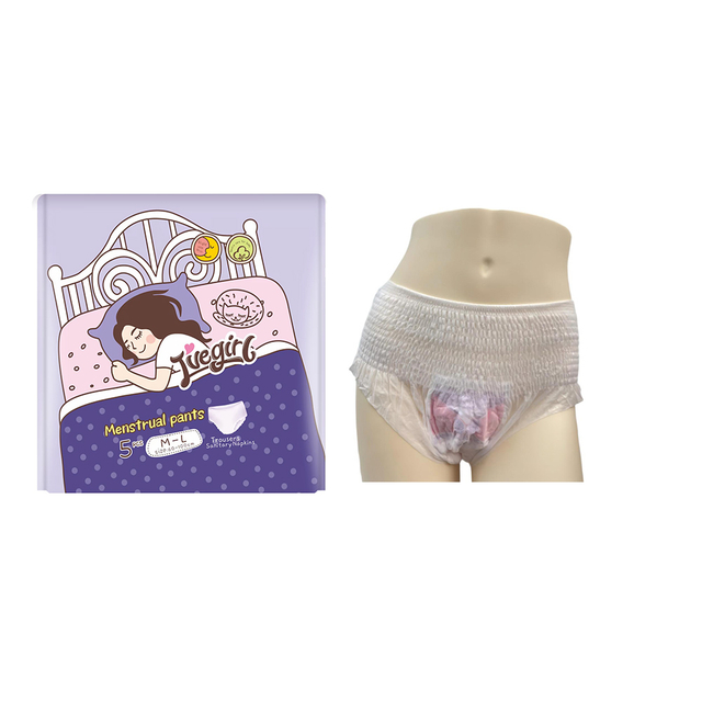 Ultra Thin Super Absorbent Ladies Disposable Menstrual Panties for Women