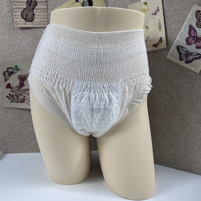 Branded Plus Size Heavy Flow Women's Menstrual Period Disposable Panties