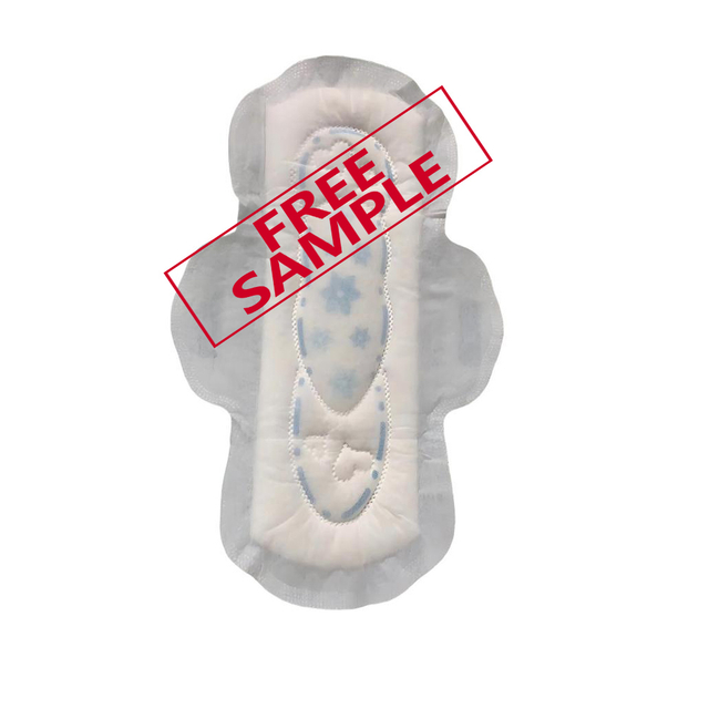 245mm Day Use Menstrual Period Disposable Winged Sanitary Napkin Pads For Ladies