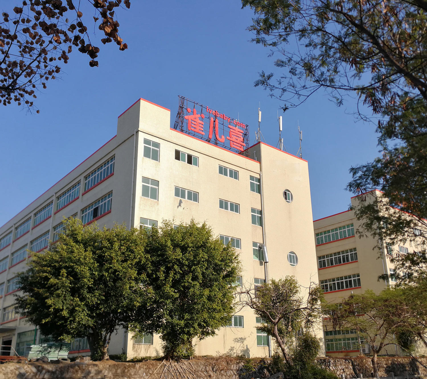 Company Introduction for Quanzhou Childsea Hygienic Products Co.,Ltd