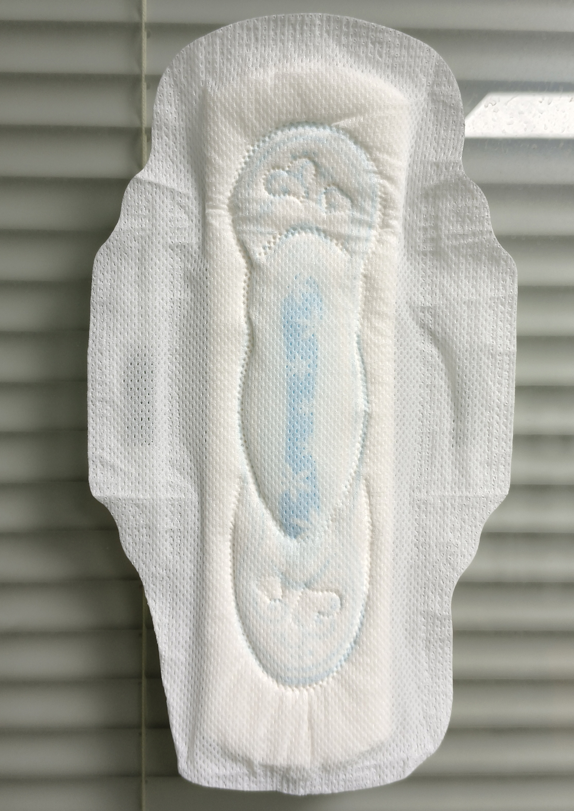 Customized Daily Use Light Absorbency Ladies Disposable Menstrual Sanitary Pads