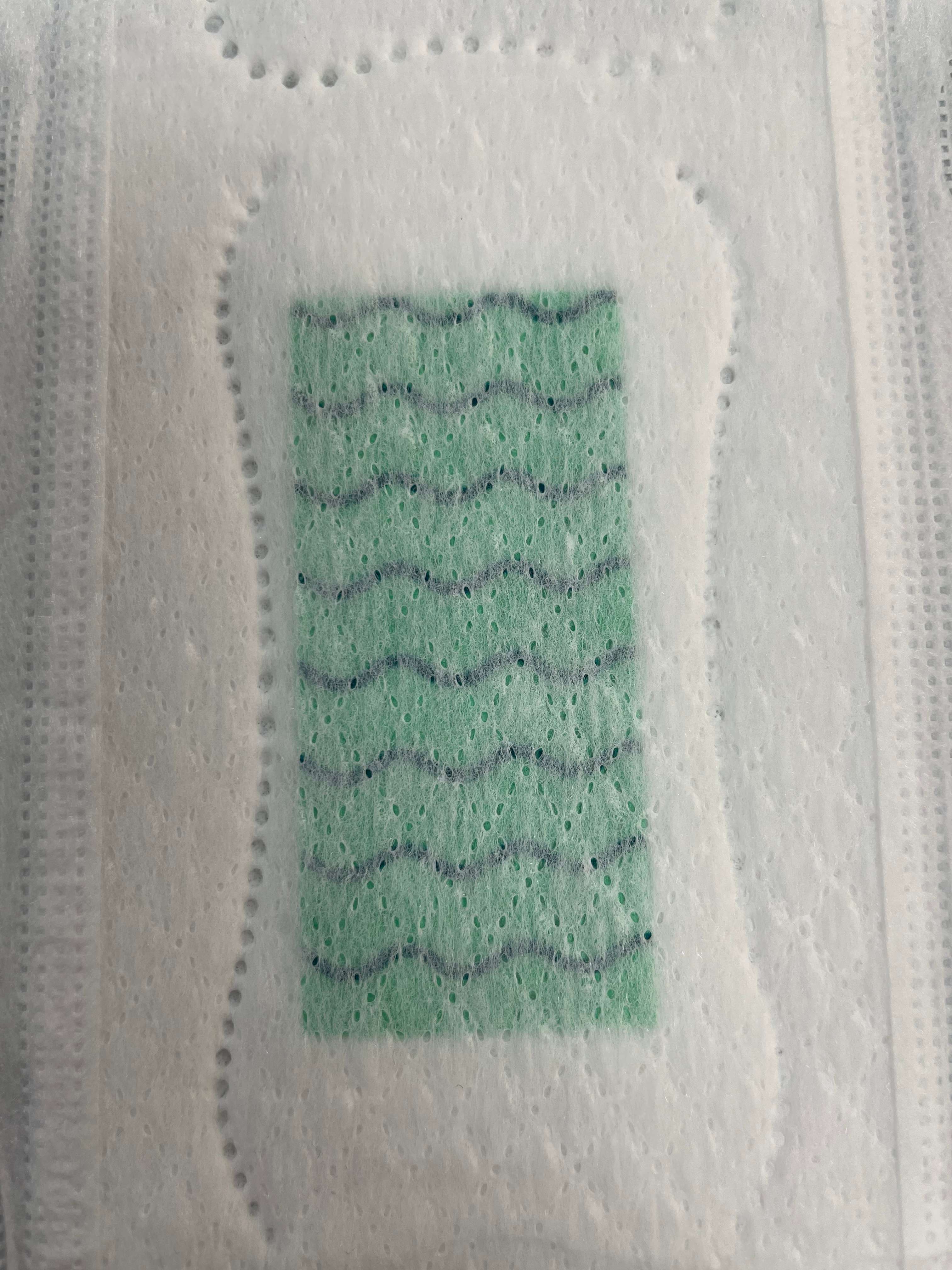 Day Use Anion Chip Menstrual Period Ladies Disposable Sanitary Pads