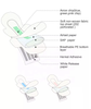 Customized Daily Use Light Absorbency Ladies Disposable Menstrual Sanitary Pads