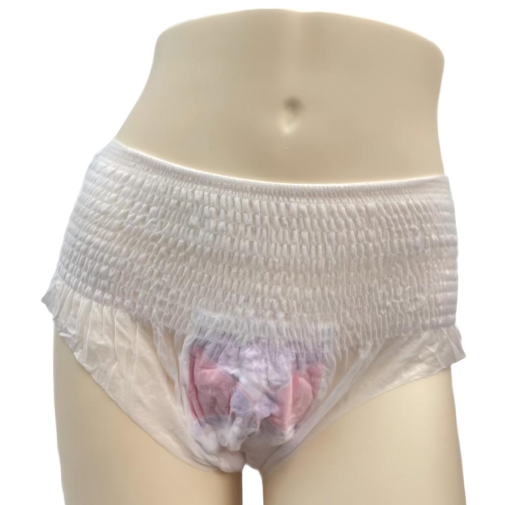 Disposable Menstrual Panties for Women